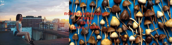 бошки Слюдянка