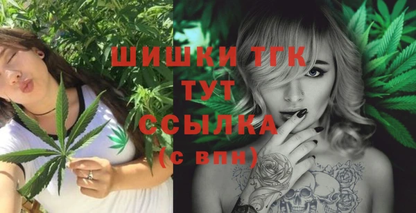 винт Верея