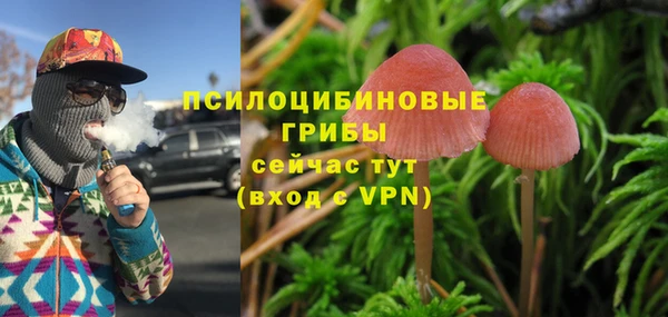марки nbome Снежногорск