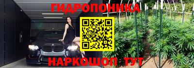 гидра Аргун