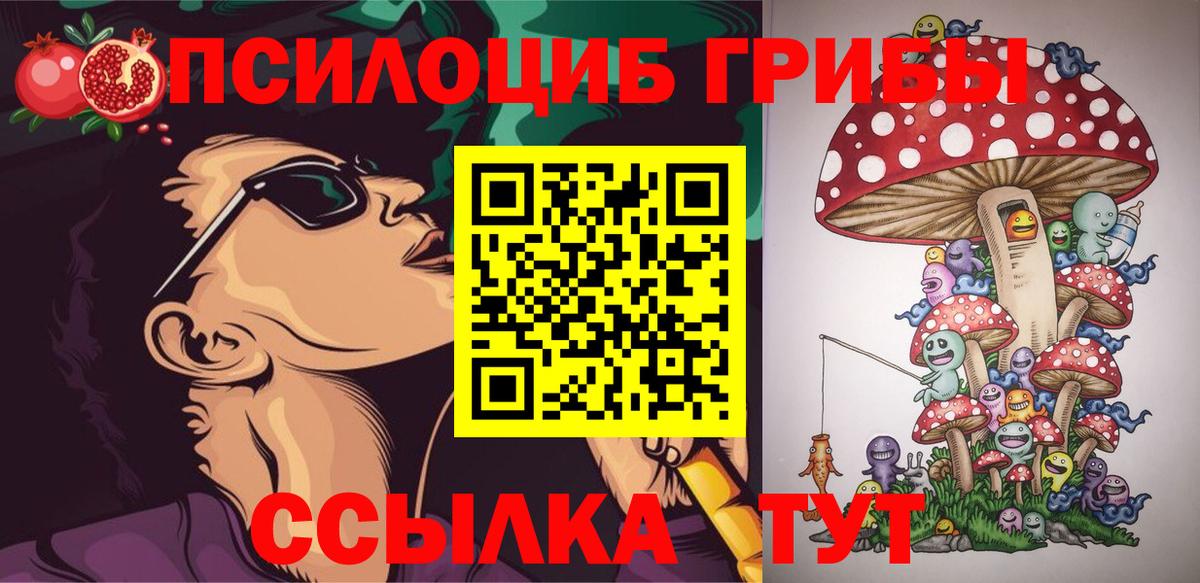 Братск  Псилоцибиновые грибы Psilocybine cubensis  Вход с VPN 