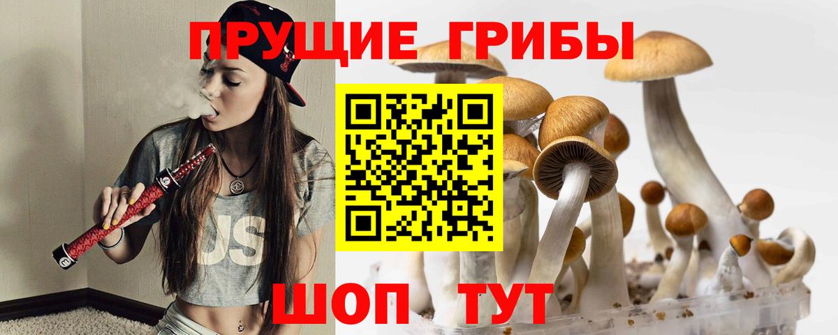 Псилоцибиновые грибы Magic Shrooms Братск